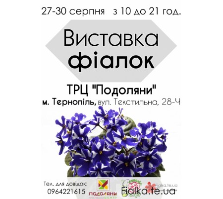 Виставка фіалок до Дня міста Тернополя Виставка фіалок до Дня міста Тернополя